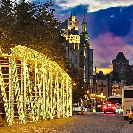 Nika Lux Self Check In Apartament Poznań